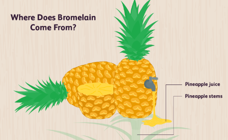 bulk Bromelain Enzyme bulk Bromelain Enzyme